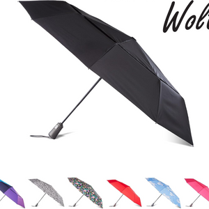 Auto Open/Close Windproof Ultimate Compact Umbrella with UV and Water Repellent Protection